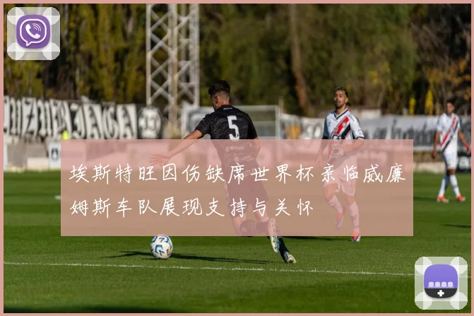 埃斯特旺因伤缺席世界杯亲临威廉姆斯车队展现支持与关怀